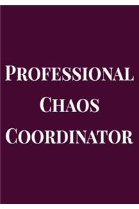 Professional Chaos Coordinator