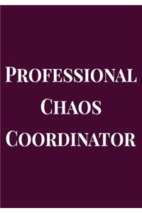 Professional Chaos Coordinator