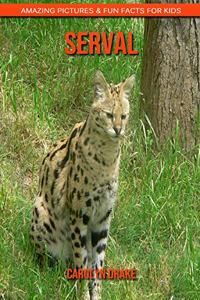 Serval