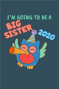 Im going to be a big sister 2020
