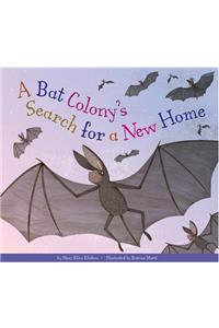 Bat Colony's Search for a New Home