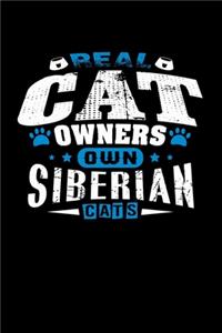 Real Cat Owners Own Siberian Cats