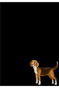 Beagle Dog Journal