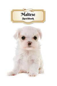 Maltese Sketchbook
