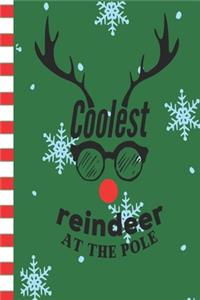 Coolest Reindeer At The Pole