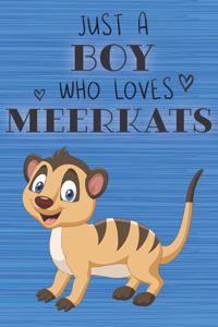 Just a Boy Who Loves Meerkats