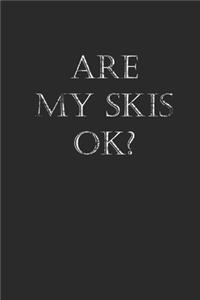 Are My Skis Ok?