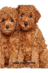 Poodle Puppy Journal