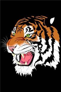 Tiger Sketchbook