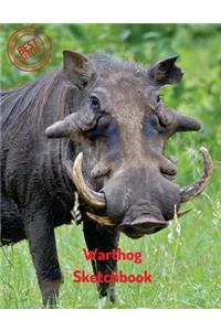 Warthog Sketchbook