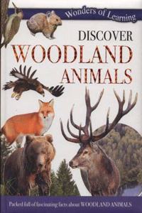 Discover Woodland Animals