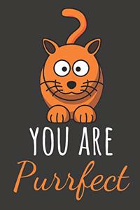 You Are Purrfect