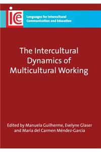 Intercultural Dynamics Multicultural Whb