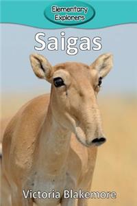 Saigas