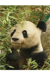 Panda Notebook