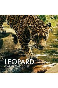 Leopard Calendar 2018