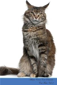 Maine Coon Cat Presents