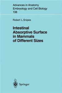 Intestinal Absorptive Surface in Mammals of Different Sizes