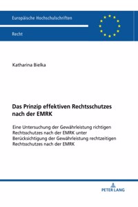 Das Prinzip effektiven Rechtsschutzes nach der EMRK