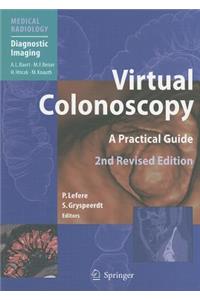 Virtual Colonoscopy