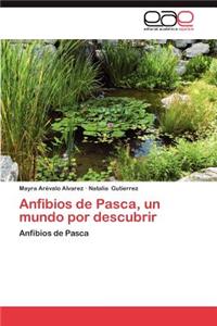 Anfibios de Pasca, Un Mundo Por Descubrir