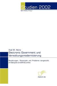 Electronic Government und Verwaltungsmodernisierung