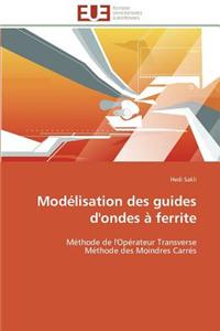 Modélisation Des Guides d'Ondes À Ferrite