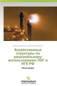 Khozyaystvennye Struktury Po Ratsional'nomu Ispol'zovaniyu PNG V Ngk RF