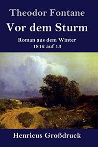 Vor dem Sturm (Großdruck)