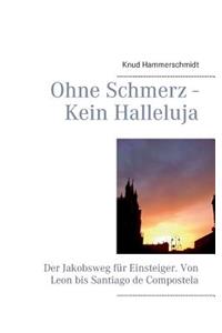 Ohne Schmerz - Kein Halleluja