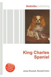 King Charles Spaniel