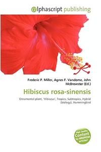 Hibiscus Rosa-Sinensis