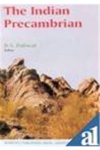 The Indian Precambrian