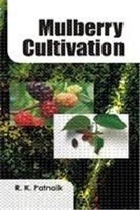 Mulberry Cultivation