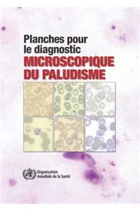Planches Pour Le Diagnostic Microscopique Du Paludisme