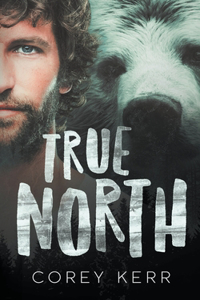 True North