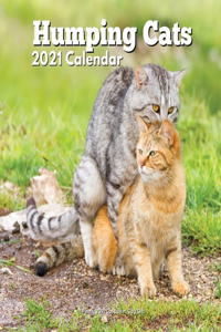 Funny Cat Lover Gift
