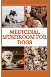 Medicinal Mushroom for Dogs