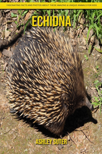 Echidna