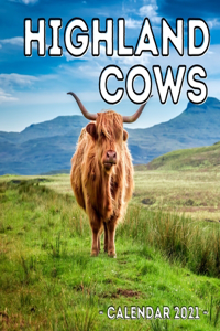 Highland Cows Calendar 2021