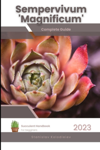 Sempervivum 'Magnificum'