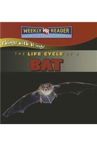The Life Cycle of a Bat