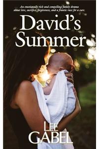David's Summer