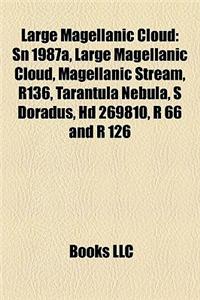 Large Magellanic Cloud