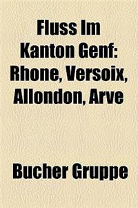 Fluss Im Kanton Genf