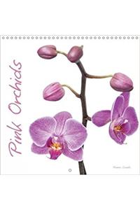 Pink Orchids 2018