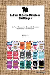 La Pom 20 Selfie Milestone Challenges La Pom Milestones for Memorable Moments, Socialization, Fun Challenges Volume 2