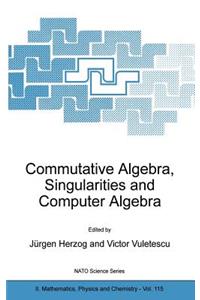 Commutative Algebra, Singularities and Computer Algebra