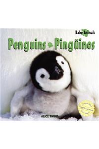 Penguins / Pinguinos