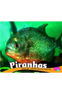 Piranhas